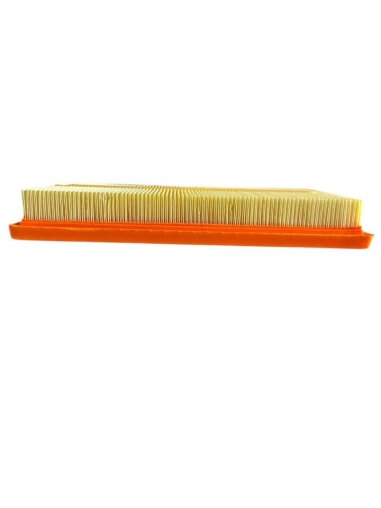 ARS Extra Guard® Air Filter OEM#-17801-F0020 - Image 2